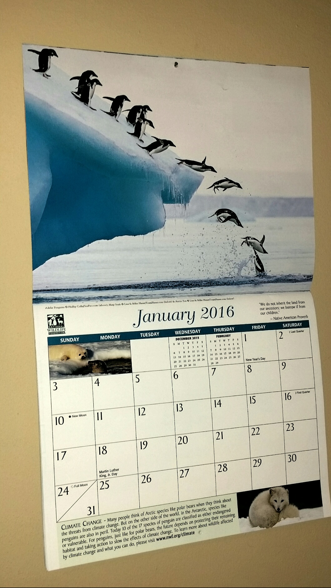 Calendar Jan 2016