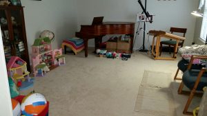 Living Room After Vacation Cleaning